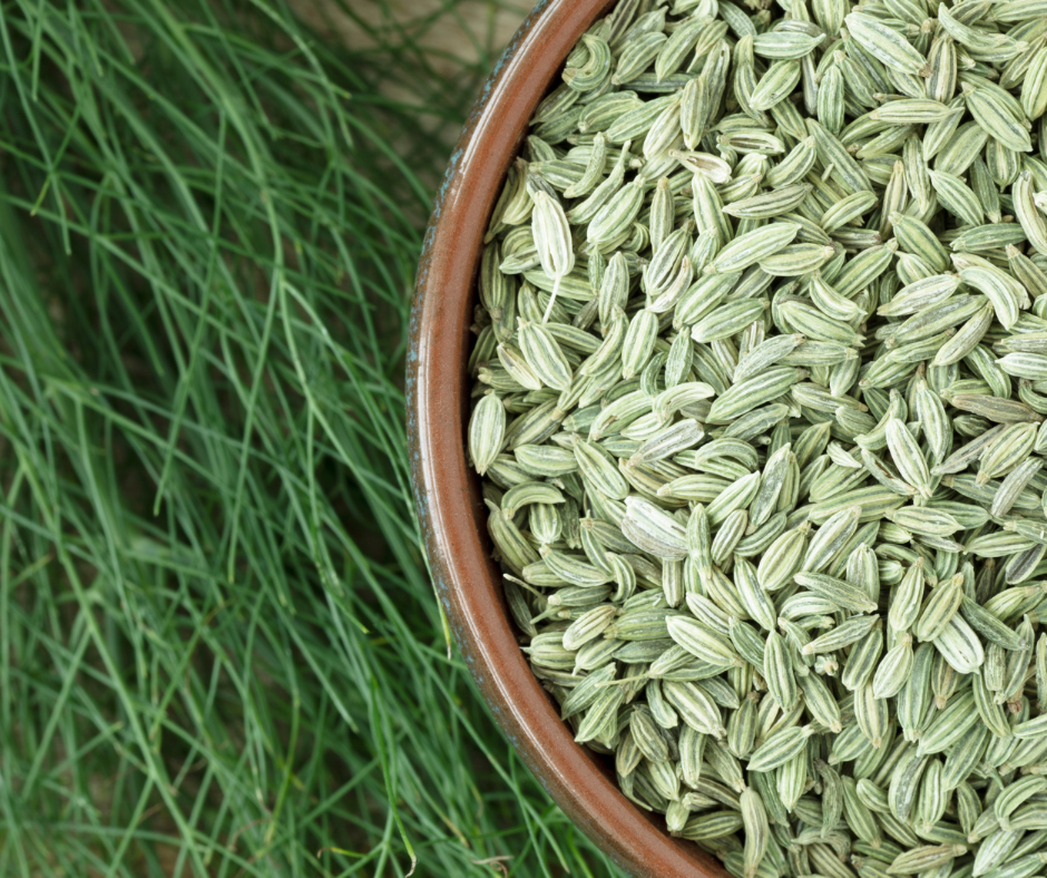 Fennel Seeds