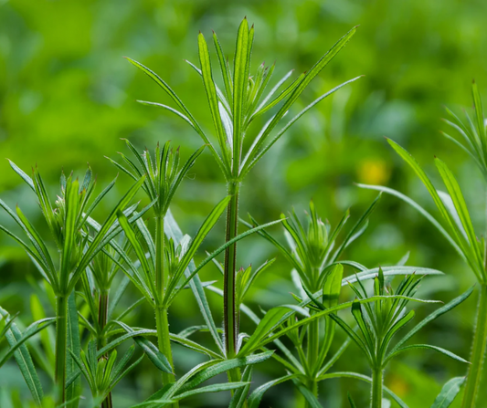 Cleavers