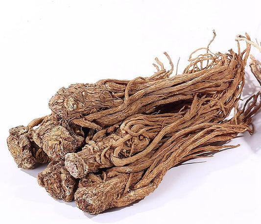 Dong Quai Root