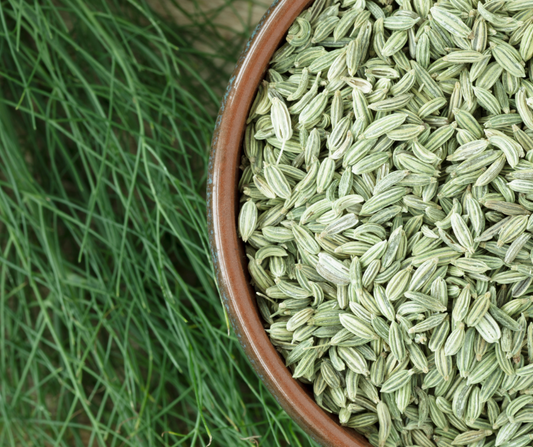 Fennel Seeds