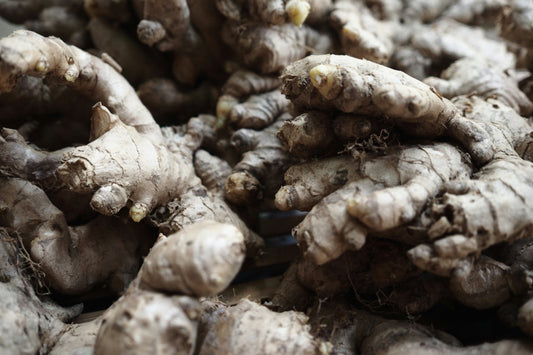 Ginger Root